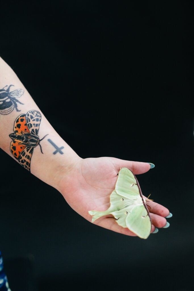 clara zodiac portrait session moth pet photography nature deep color luxury